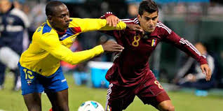 Vinotinto