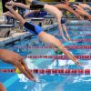 FINA avala nacional de natación por categorías en Venezuela