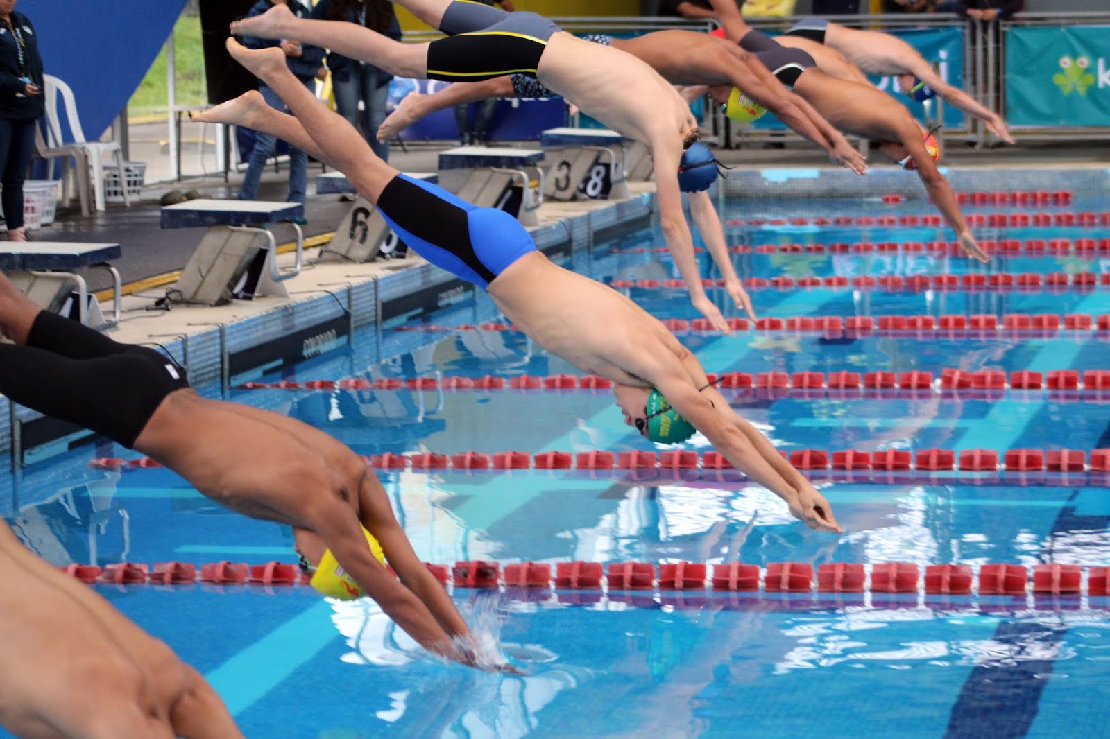 FINA avala nacional de natación por categorías en Venezuela