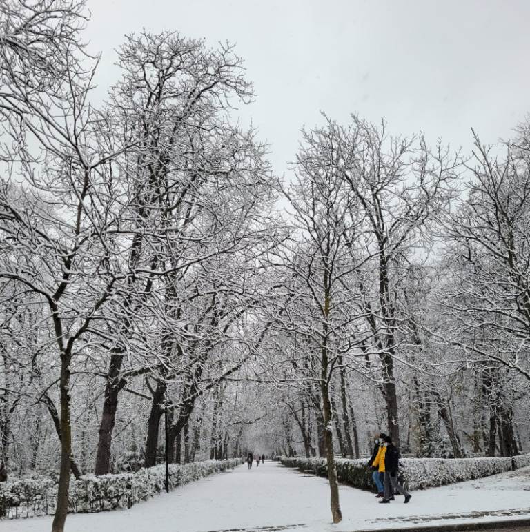 España | Madrid activa nivel 2 del Plan de Inclemencias Invernales por borrasca Filomena