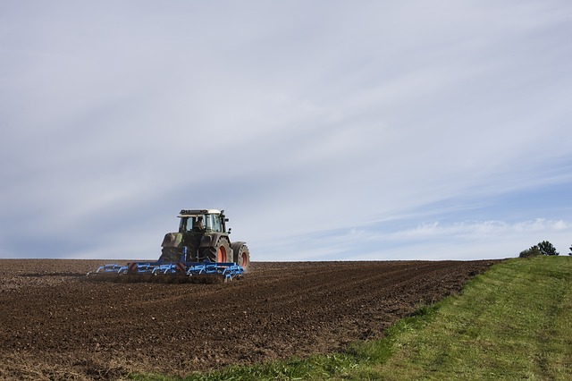 Reducción de la producción agrícola en 2020, no alcanzó el estimado