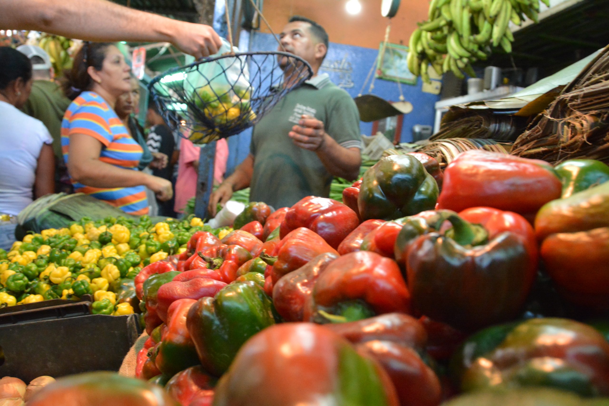 Mercados municipales sin autogestión por exceso de controlesMercados municipales sin autogestión por exceso de controles