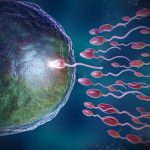 ¿Cómo funciona la inseminación artificial?