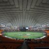 Béisbol de japón