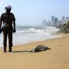 Aparecen tortugas muertas en Sri Lanka, tras fuego en un barco