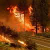 Incendios en Argelia dejan al menos cuatro muertos