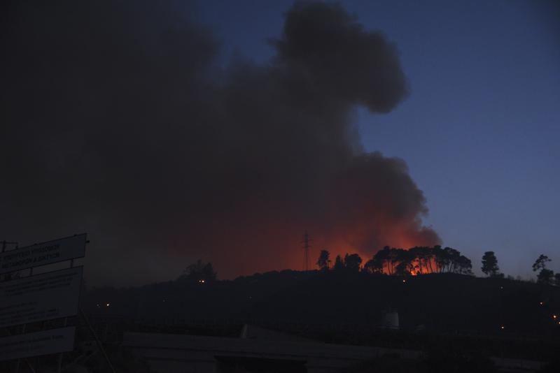 Altas temperaturas siguen cobrando vidas: 42 muertos en Argelia por incendios