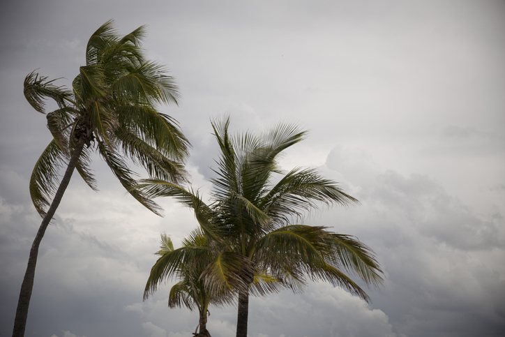 tormenta