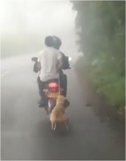 Con una moto arrastraron a un perrito en Colombia