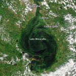 NASA: lago de Maracaibo se está asfixiando con petróleo y algas