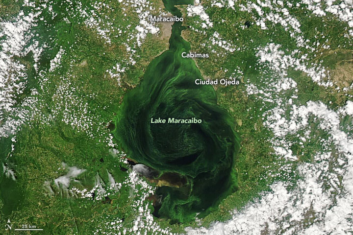 NASA: lago de Maracaibo se está asfixiando con petróleo y algas