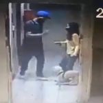 (+VIDEO) MP ordena investigar y sancionar "brutal agresión" contra perro guía en Caracas