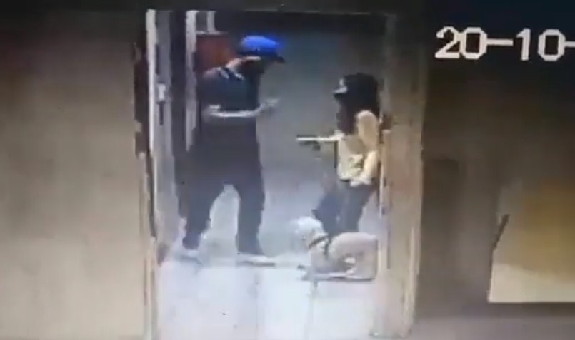 (+VIDEO) MP ordena investigar y sancionar "brutal agresión" contra perro guía en Caracas