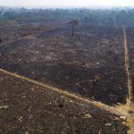 Activistas climáticos piden que CPI investigue a Bolsonaro