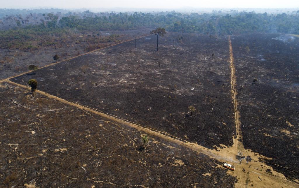 Activistas climáticos piden que CPI investigue a Bolsonaro