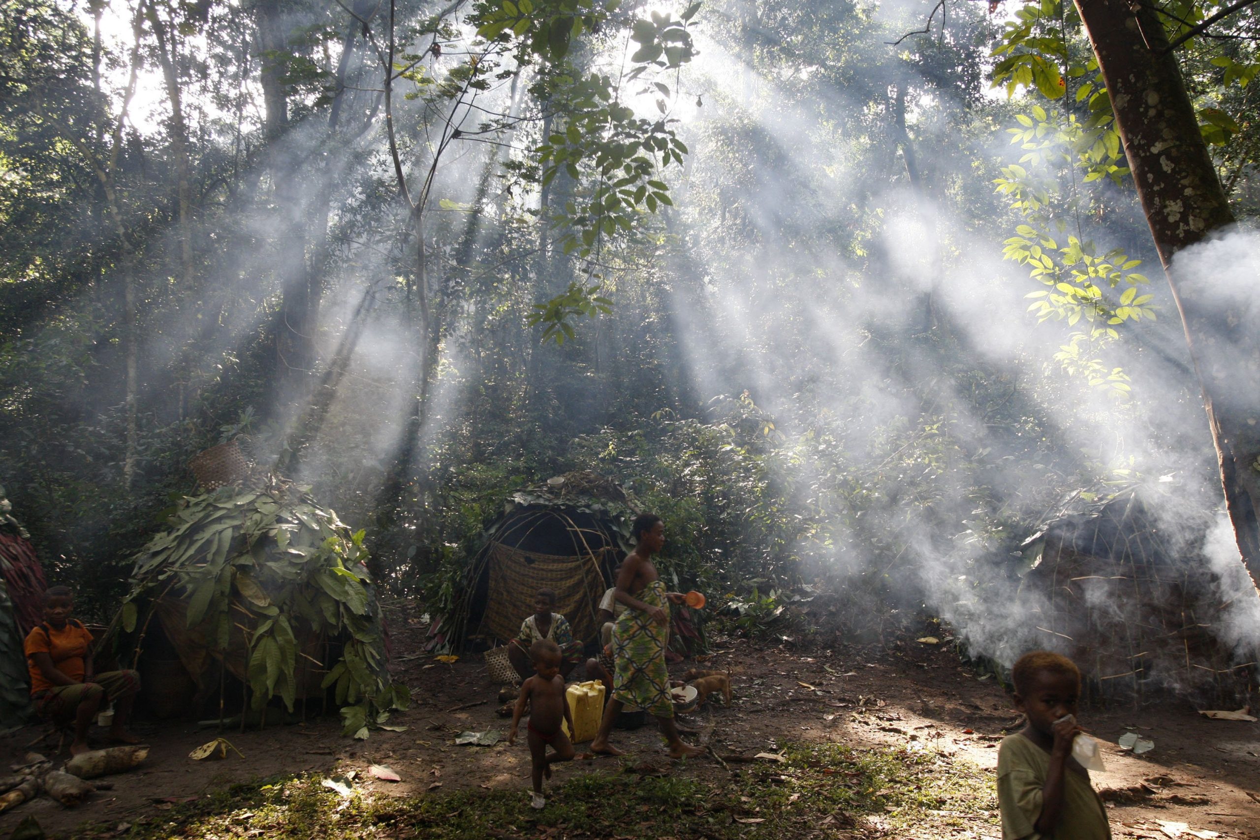 La Neira (OMS): apremia eliminar “el elitismo ambiental” y apoyar a los más humildes