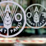 FAO pide actuar con rapidez ante la amenaza de La Niña a la seguridad alimentaria mundial