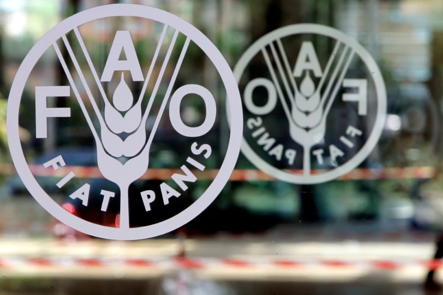 FAO pide actuar con rapidez ante la amenaza de La Niña a la seguridad alimentaria mundial