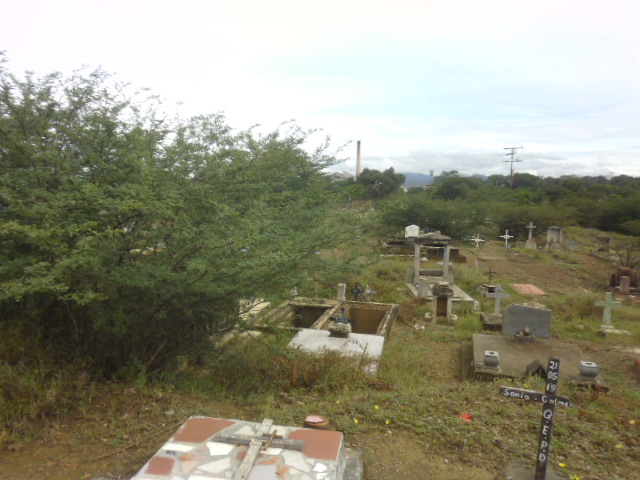 Cementerio de El Tocuyo convertido en una verdadera selva