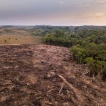 Oposición critica 'la inacción' del Gobierno en torno al cambio climático