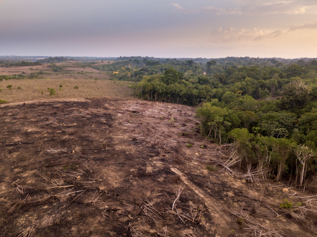 Oposición critica 'la inacción' del Gobierno en torno al cambio climático