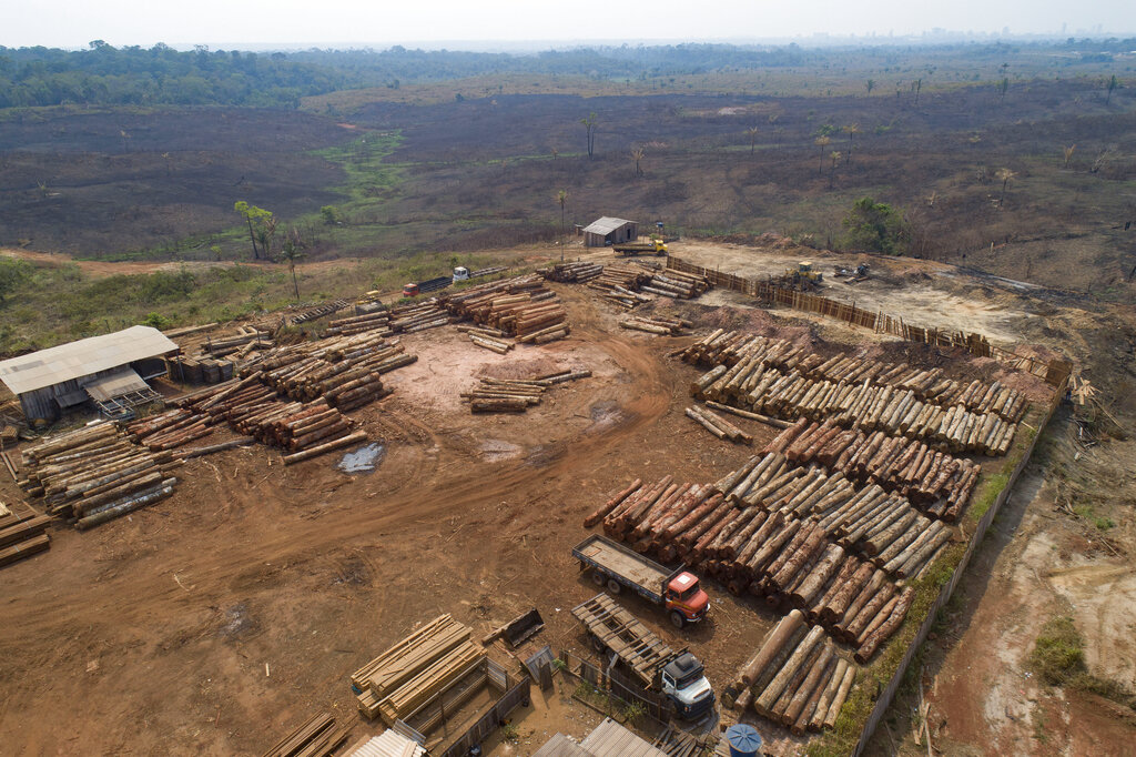 Deforestación de la Amazonía brasileña alcanzó su mayor nivel de los últimos 15 años