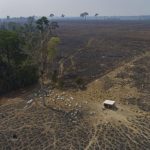 Líderes mundiales se comprometen a detener y revertir la deforestación y degradación de la tierra para 2030