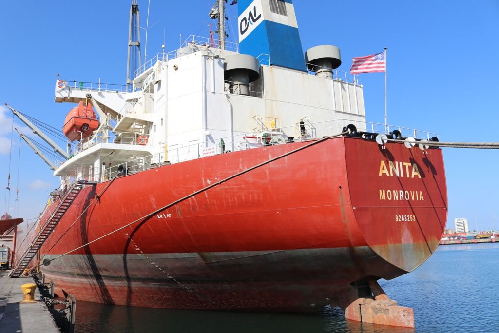 Llegan Puerto Cabello 103 contenedores con juguetes procedentes de China