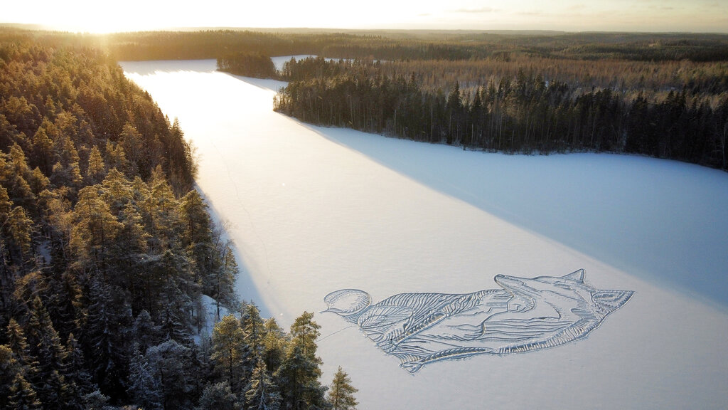 ¡Un artista! Arquitecto dibuja un zorro en lago congelado en Finlandia