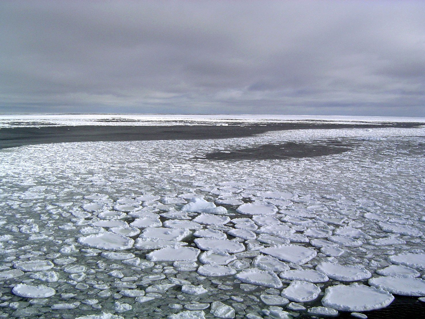 Cambio climático dejó la temperatura más alta en la historia del Ártico según la OMM