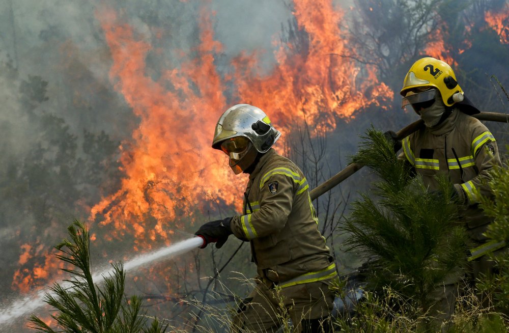 Chile | Al menos 15 casas afectadas por incendio en Valparaíso