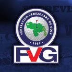 FVG3