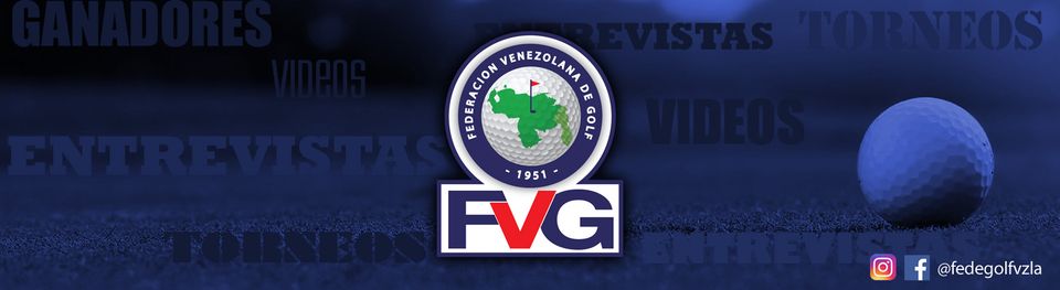 FVG3