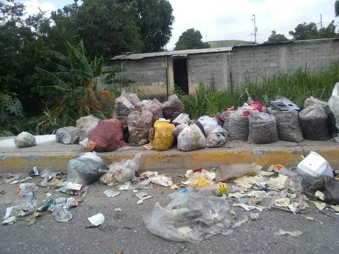 Denuncian foco de contaminación por falta de aseo urbano en sectores de Barquisimeto