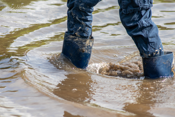 Al menos 250 familias afectadas por inundaciones en Portuguesa