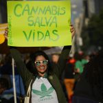 Perú da luz verde a regulación de uso medicinal y terapéutico del cannabis y sus derivados