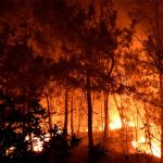 España | Desalojan poblados por incendio forestal en Zaragoza