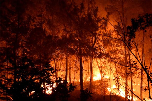 España | Desalojan poblados por incendio forestal en Zaragoza