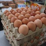 Productores denuncian que 50 % de los huevos que se comercializan en Táchira son colombianos