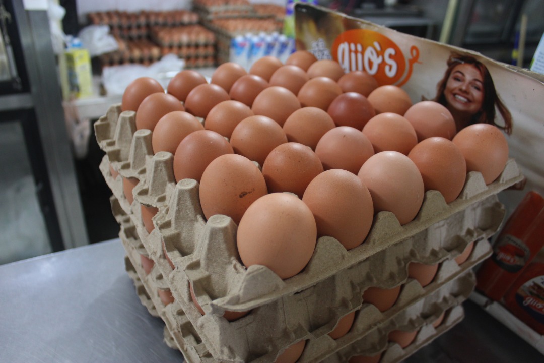 Productores denuncian que 50 % de los huevos que se comercializan en Táchira son colombianos