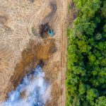 Fundador de Patagonia cede el control de su empresa para combatir el cambio climático