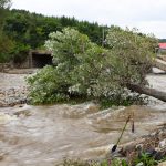 Fallece un niño al ser arrastrado por inundaciones en Santa Elena de Uairén