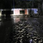 Construirán canal que desemboque en quebrada Tabure para evitar inundaciones en Palavecino