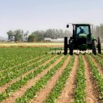 Fedeagro afirma que por tercer año el sector ha recuperado terreno, pero que es necesario seguros agrícolas y fondos de fomento