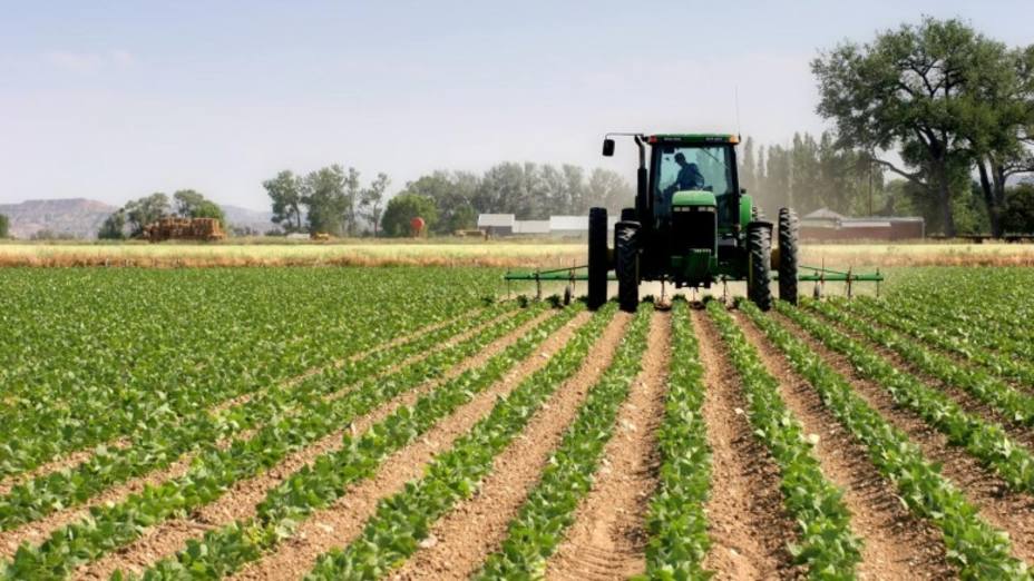 Fedeagro afirma que por tercer año el sector ha recuperado terreno, pero que es necesario seguros agrícolas y fondos de fomento