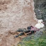 Encuentran cadáver en quebrada de la carretera vieja Caracas-La Guaira