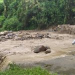 Lara | Habitantes advierten crecida de quebrada El Fraile en el Municipio Torres