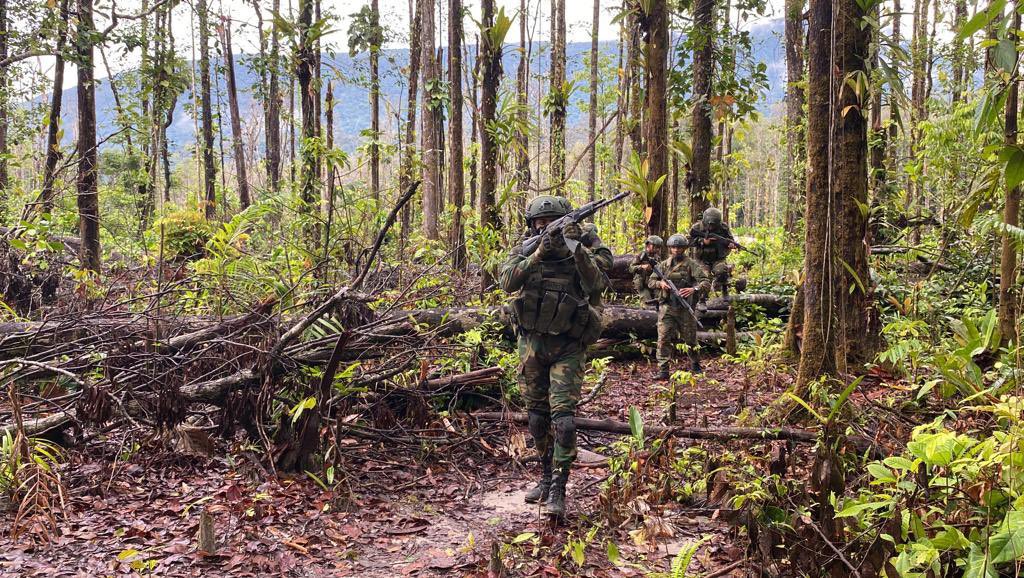 FANB desmantela estructura de minería ilegal en Canaima