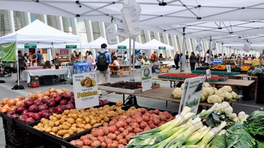 Rubro de alimentos