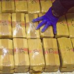 Incautan y destruyen 10,4 toneladas de cocaína en operativo en Zulia